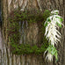 FAUX MOSS AND WICKER SQUARE FRAME - SMALL - AyaZay Wedding Shoppe