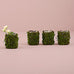 FAUX MOSS AND WICKER MINI FAVOUR PLANTER WITH LINER (4/pkg) - AyaZay Wedding Shoppe