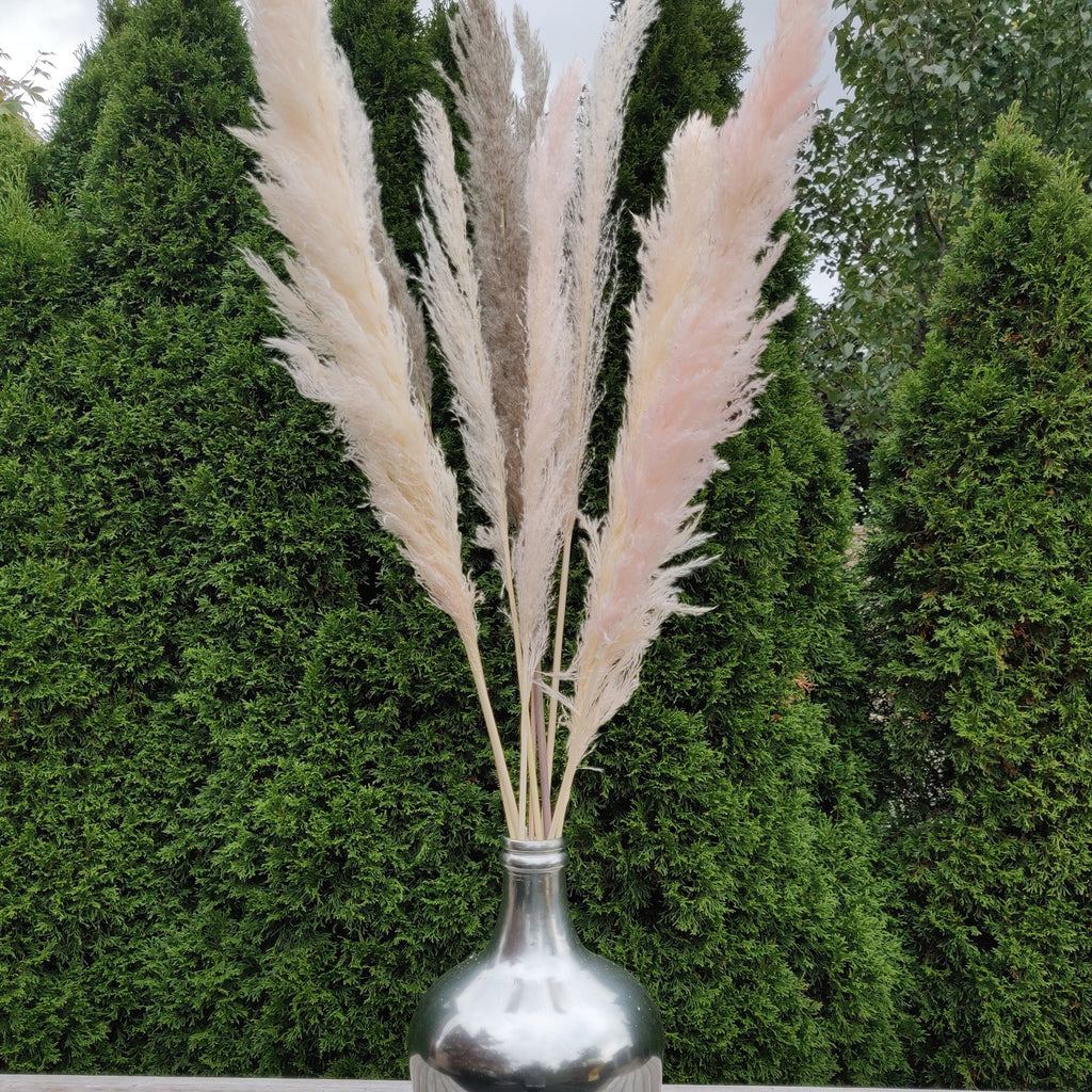 PAMPAS GRASS STEMS - PKG OF 3 - AyaZay Wedding Shoppe