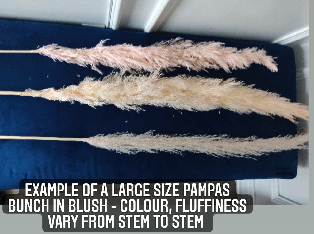 PAMPAS GRASS STEMS - PKG OF 3 - AyaZay Wedding Shoppe