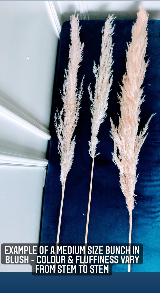 PAMPAS GRASS STEMS - PKG OF 3 - AyaZay Wedding Shoppe