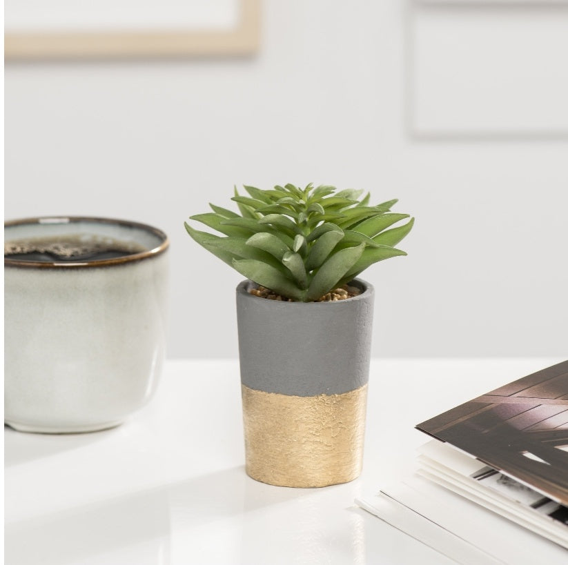 ORO GOLD BAND POTTED FAUX SUCCULENT