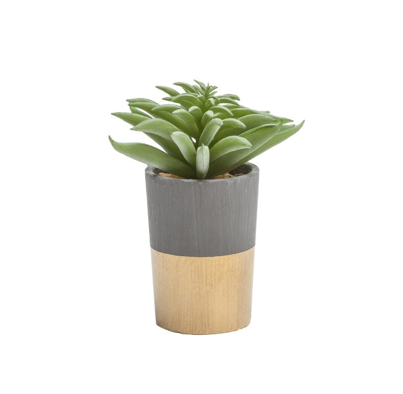 ORO GOLD BAND POTTED FAUX SUCCULENT