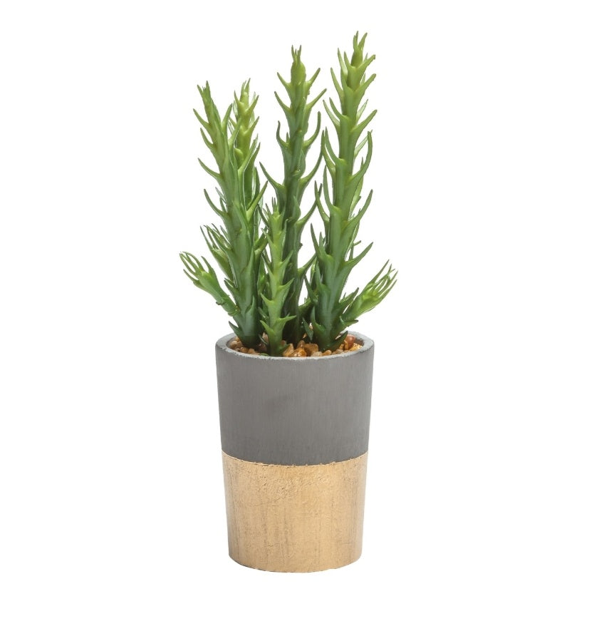 ORO GOLD BAND POTTED FAUX SUCCULENT