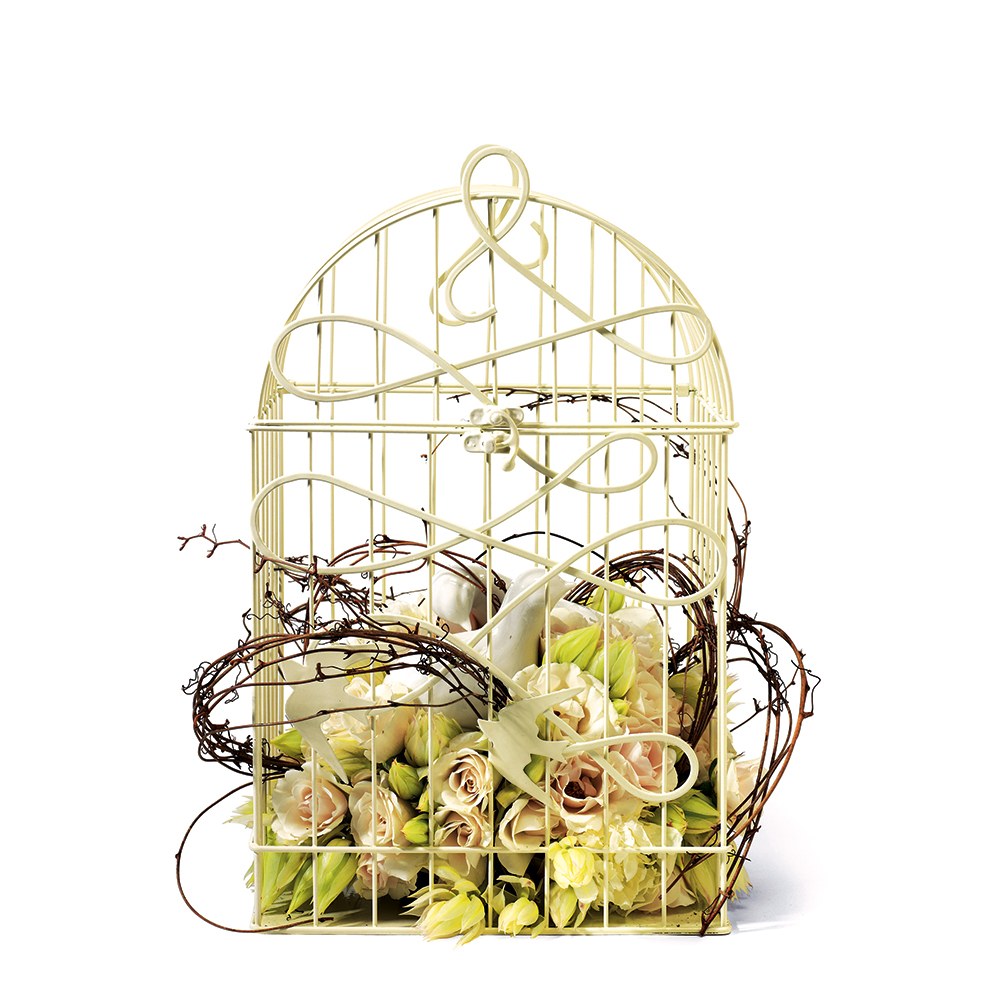 https://ayazay.com/cdn/shop/products/9117-79-w_modern-decorative-birdcage-with-birds-in-flight-ivory9831ecd2d84469d361dc4538cd4fa669_1024x.jpg?v=1634661816