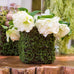 FAUX MOSS AND WICKER MINI FAVOUR PLANTER WITH LINER (4/pkg) - AyaZay Wedding Shoppe