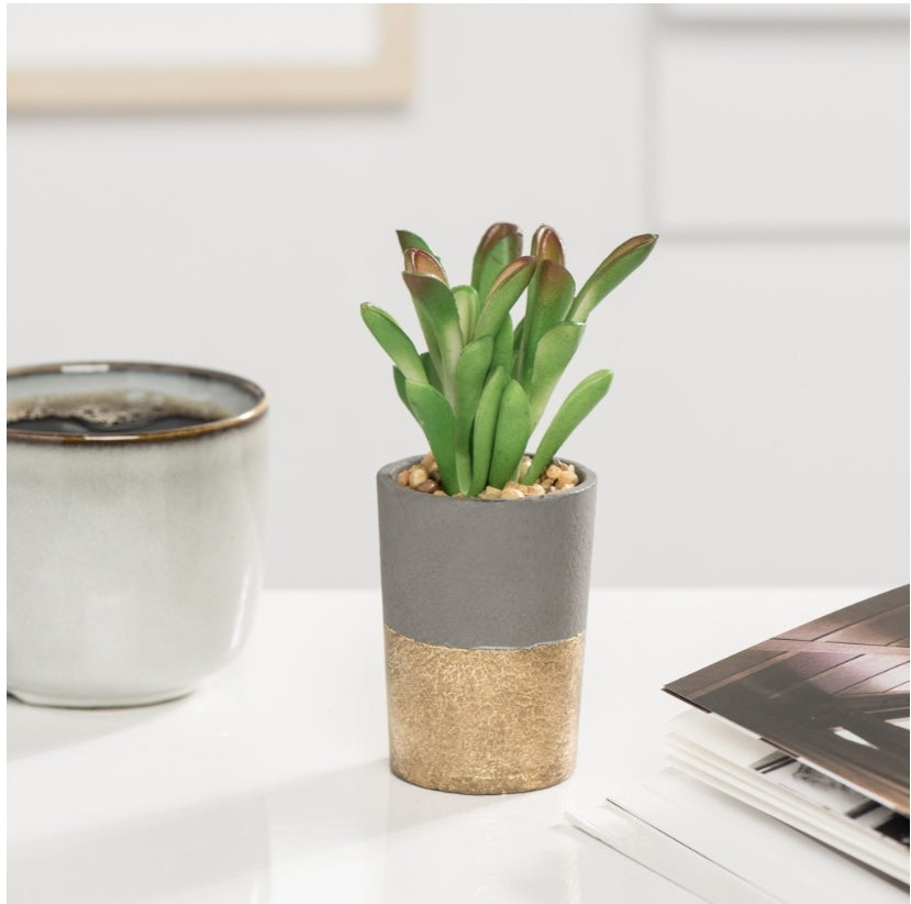 gold potted succulent ORO GOLD BAND POTTED FAUX SUCCULENT – AyaZay Wedding Shoppe