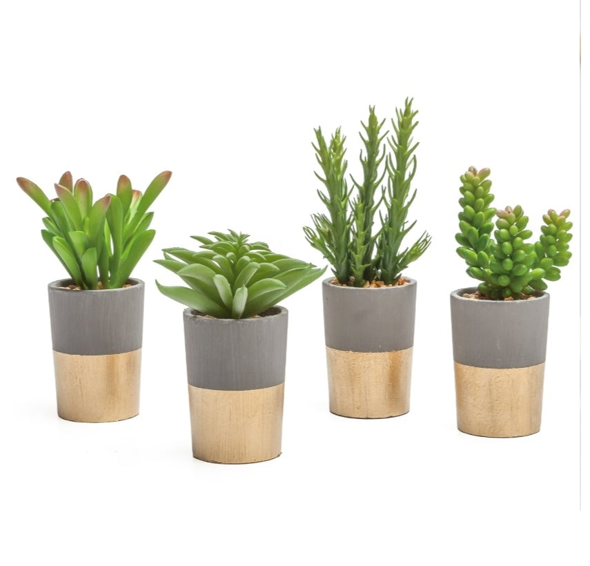 gold potted succulent ORO GOLD BAND POTTED FAUX SUCCULENT – AyaZay Wedding Shoppe